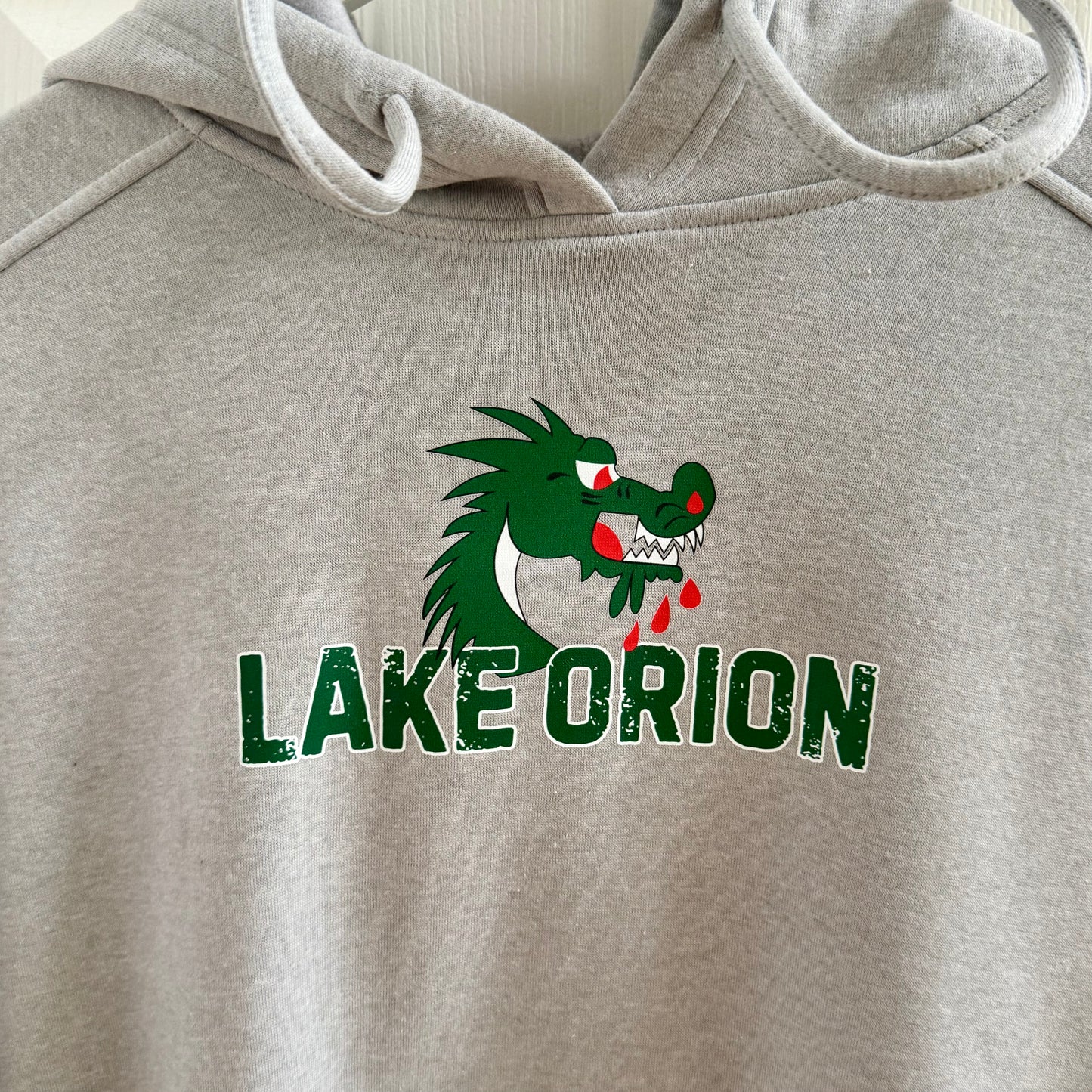 DRAGONS Graphic Back Fleece Hoodie (Grey)