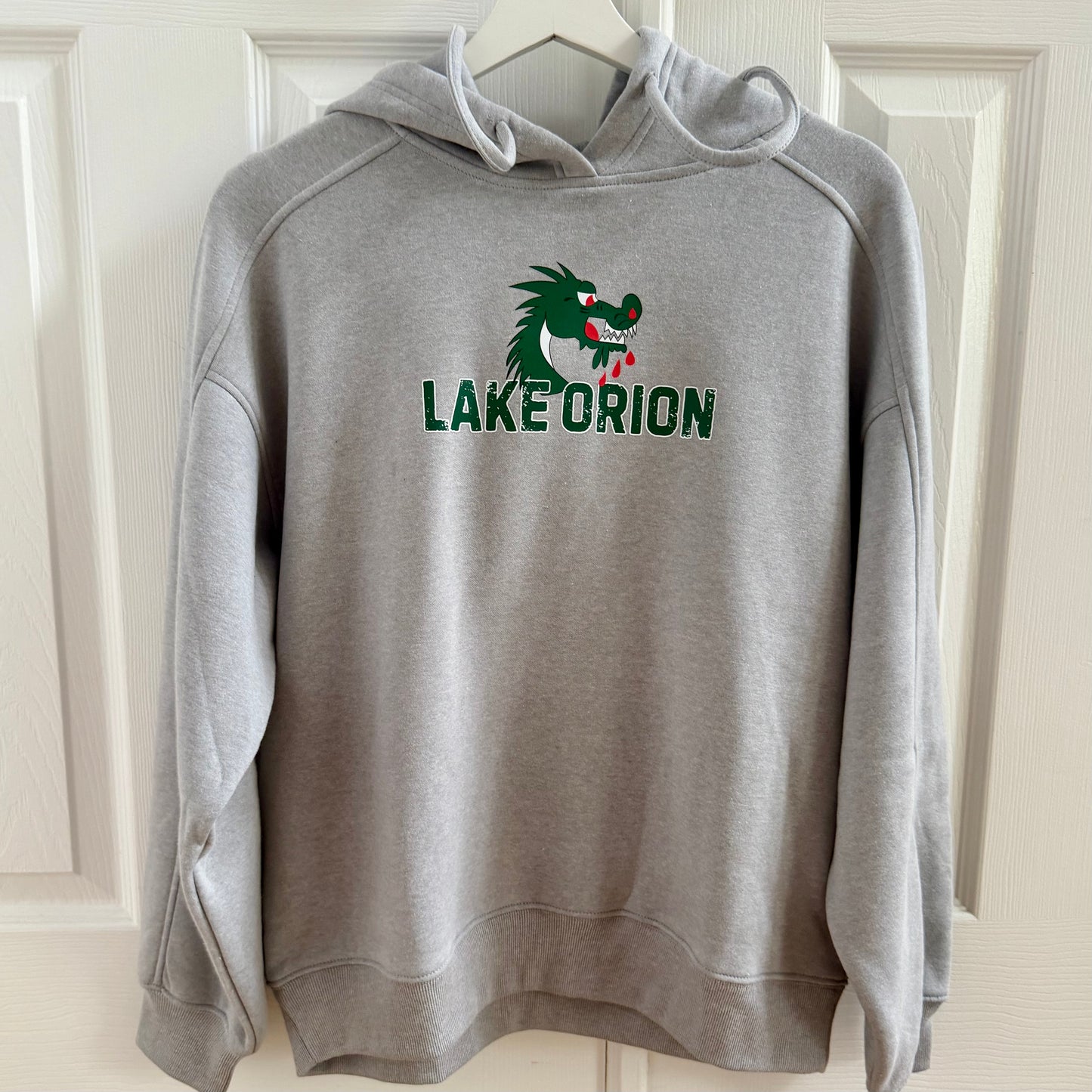 DRAGONS Graphic Back Fleece Hoodie (Grey)