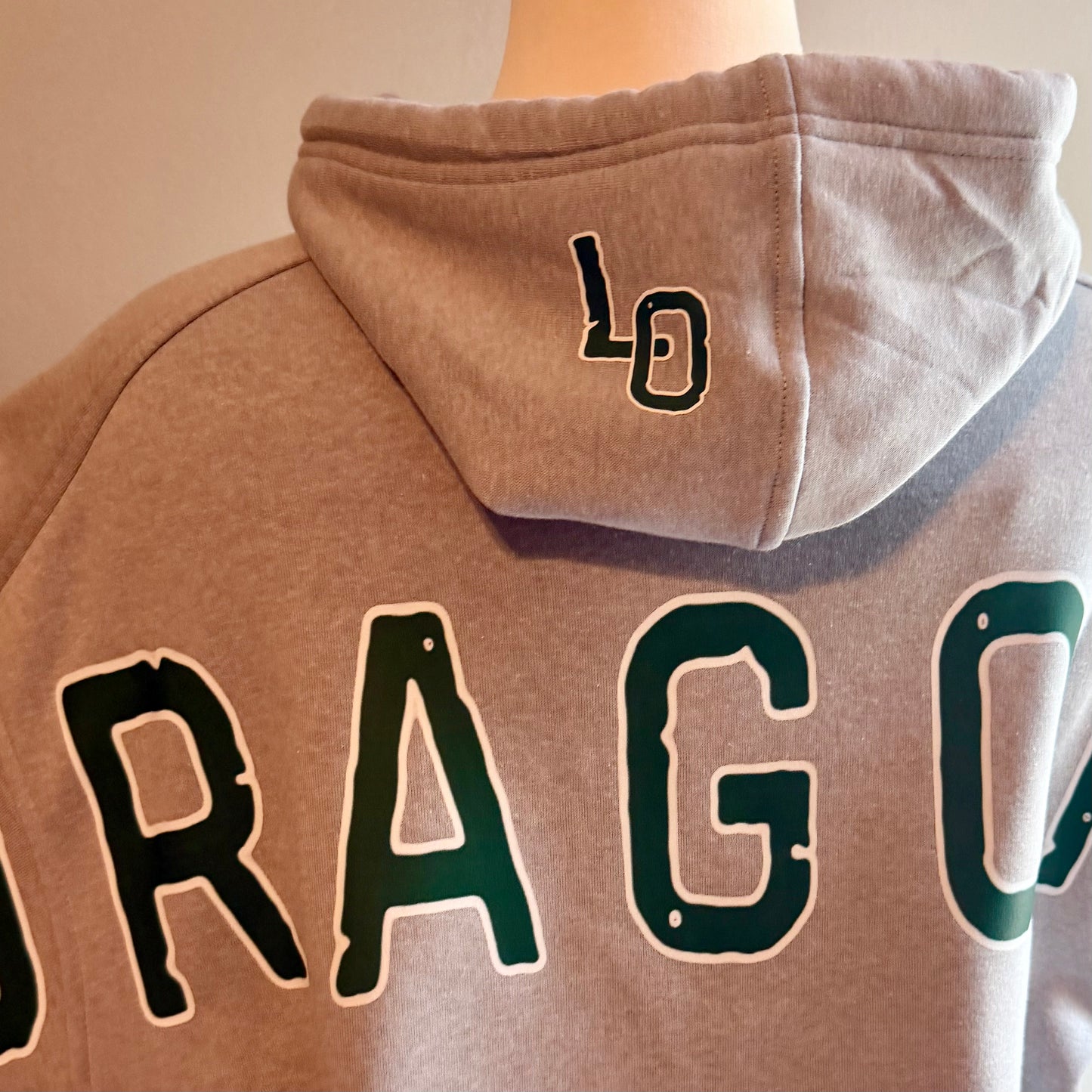 DRAGONS Graphic Back Fleece Hoodie (Grey)