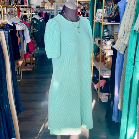 Kelly Corded Puff Sleeve Dress
