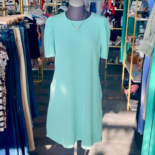 Kelly Corded Puff Sleeve Dress