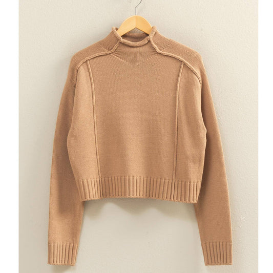 High Roll Neck Sweater (Taupe)